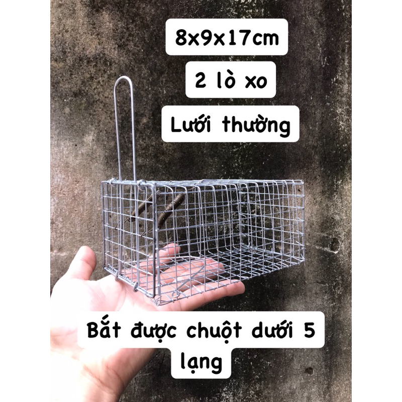 Combo 10 Bẫy chuột dưới 5 lạng.8.9.17 thường