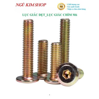  LỤC GIÁC DẸP _ BULONG LỤC GIÁC CHÌM M6 x L  mm  