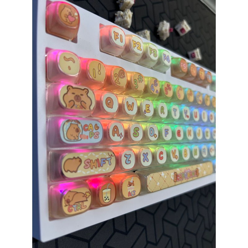 [ Sẵn Hàng ] Keycap Akko Capybara Pudding 140 nút | Profile MOA|MAO | BigBuy360 - bigbuy360.vn