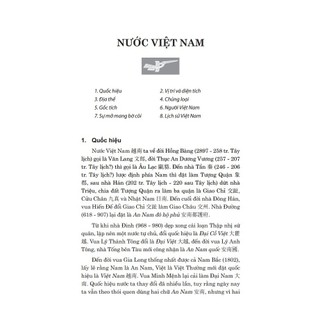 Sách - Việt Nam sử lược (bìa cứng)
