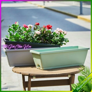 Chậu cây chữ nhật, Chậu trồng cây kèm đĩa lót, trồng cây và hoa trang trí nhà cửa ban công hành lang, sân vườn
