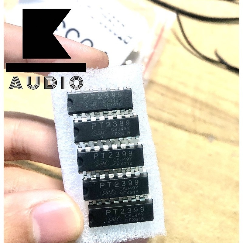 1 ic echo pt2399