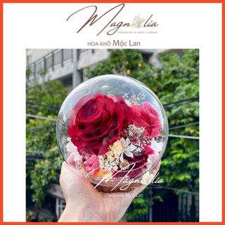 Quả cầu 12cm chụp thuỷ tinh hoa hồng vĩnh cửu không tàn *HOA KHÔ MỘC LAN*