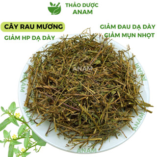 Cây Rau Mương khô uống giảm HP dạ dày Cây Rau Máng Mương khô đã làm sạch thơm không vụn CRM Thảo Dược Anam
