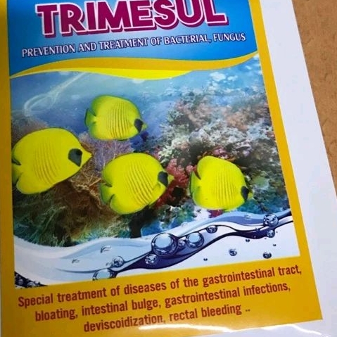 Trimesul - vi khuẩn , nấm ở cá cảnh