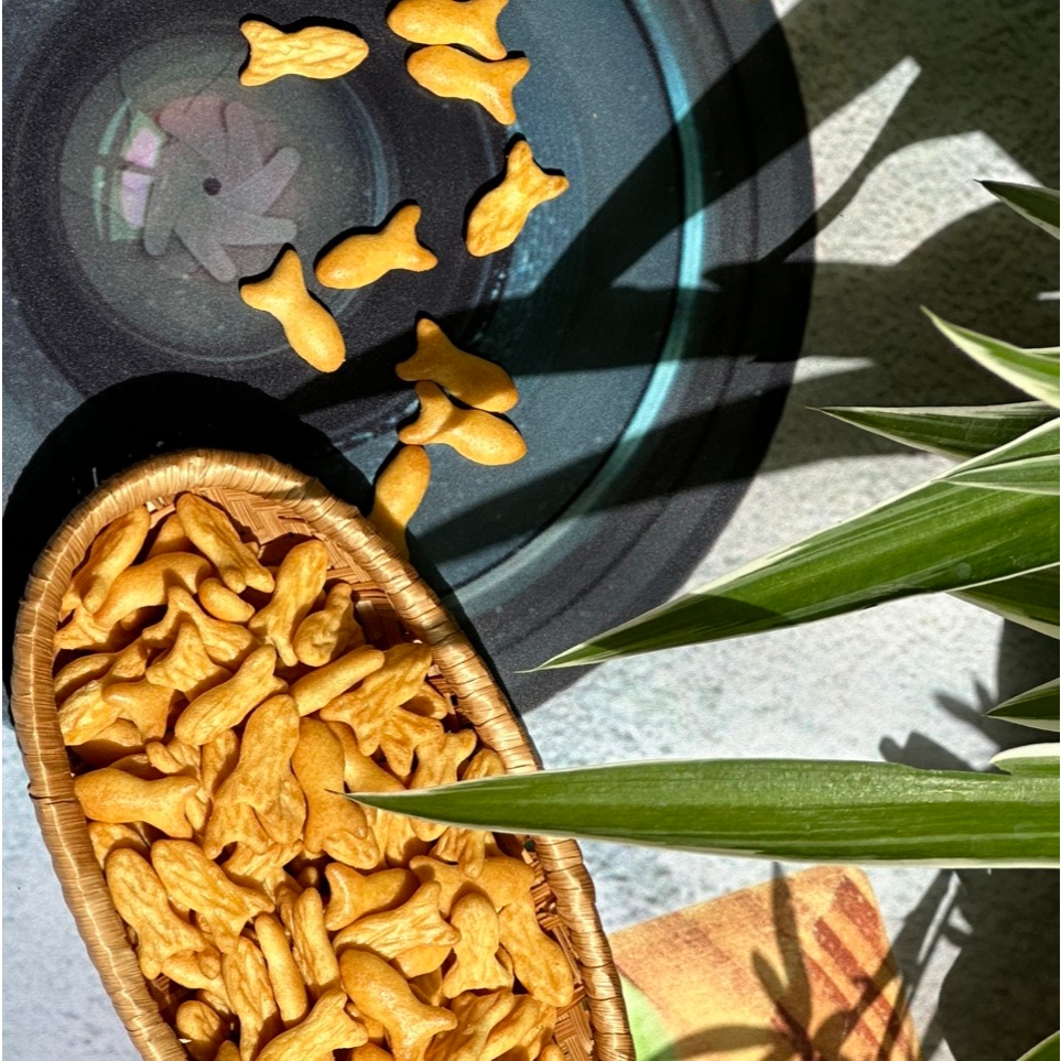 BÁNH CÁ MẶN