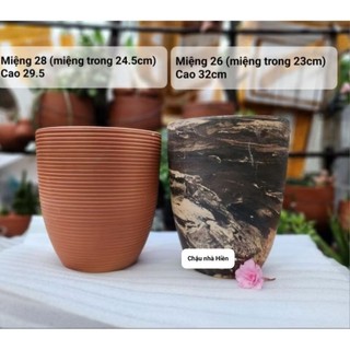 Chậu đất nung - chậu ống cao (loang giao ngẫu nhiên) kích thước trên ảnh