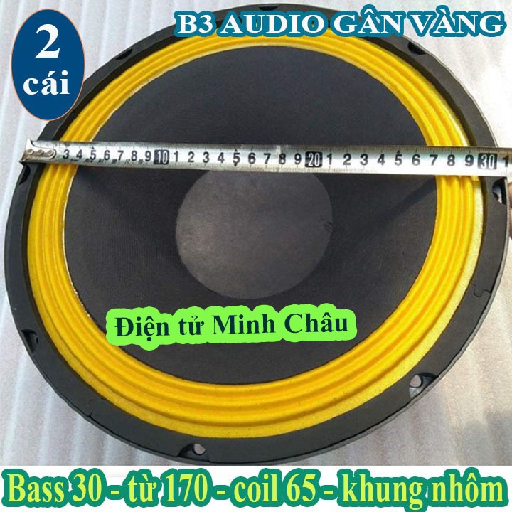 LOA BASS 30 B3 AUDIO GÂN VÀNG TỪ 170 COIL 65 - GIÁ 1 CẶP