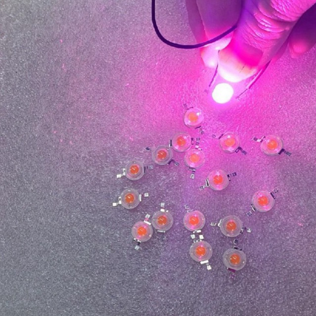 Combo 100 con led tím 1w và cobo 10 con