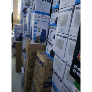 Bơm hồ Koi Jebao LP
