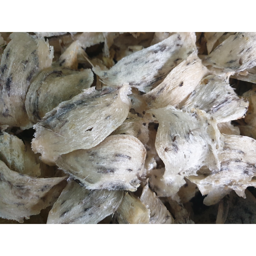 20g tổ yến thô