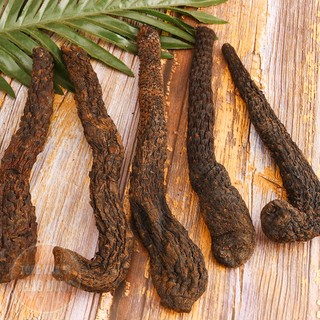 Nhục thung dung 100g, củ to, thơm, dẻo, dùng ngâm uống, pha trà, nấu ăn - Tổng Kho Sỉ Thảo Dược