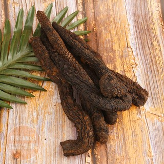 Nhục thung dung 100g, củ to, thơm, dẻo, dùng ngâm uống, pha trà, nấu ăn - Tổng Kho Sỉ Thảo Dược