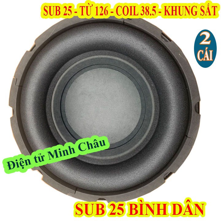 CẶP LOA SUB 25 COIL 38.5 TỪ 126 GÂN BÉO - GIÁ 2 LOA
