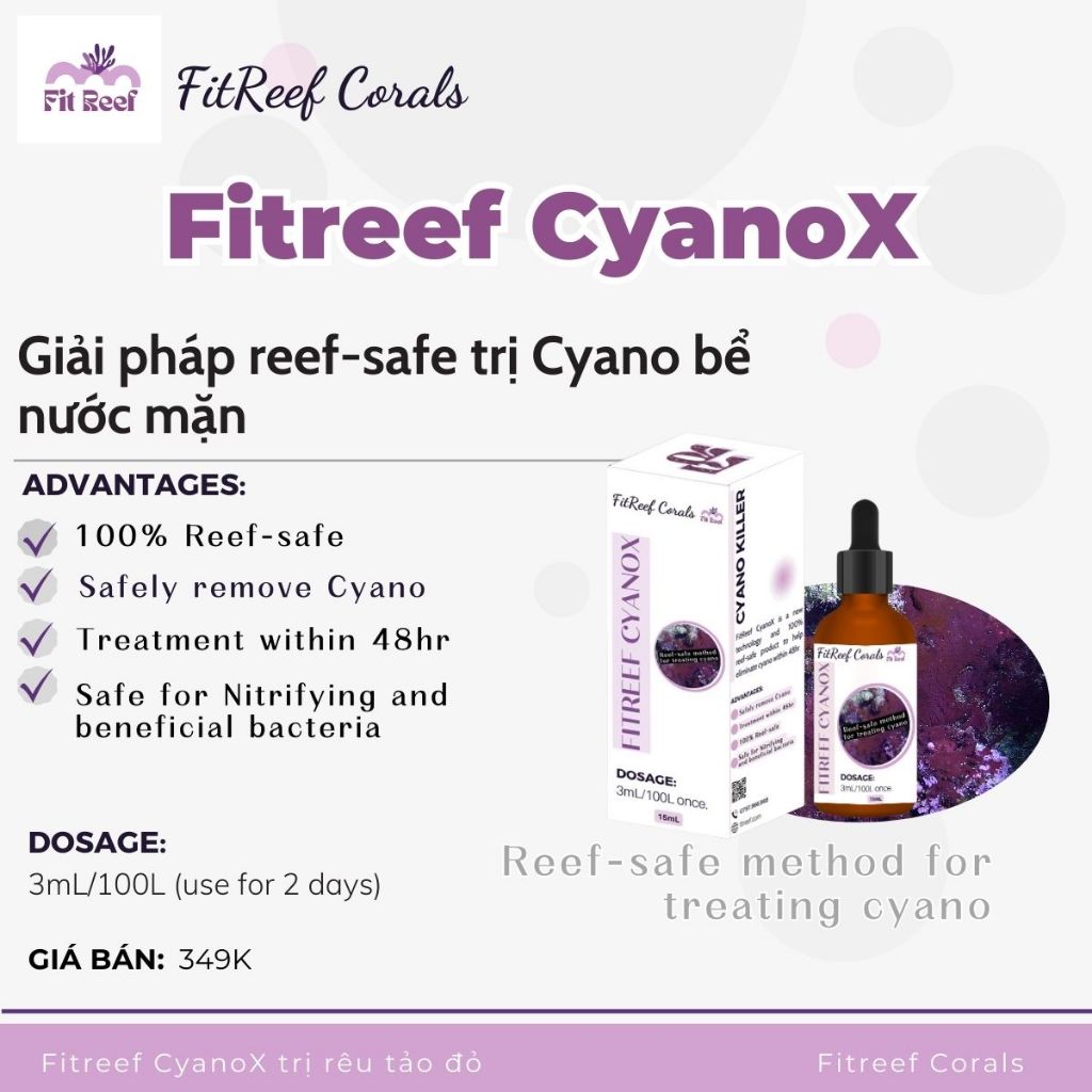 FitReef CyanoX trị cyano (rêu tảo đỏ) reef-safe an toàn cho hệ vi sinh