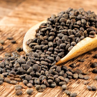 Phá Cổ Chỉ (Bổ Cốt Chỉ) 500g