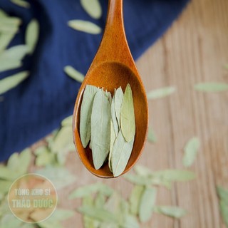 Phan tả diệp 100g, lá phan tả, không vụn, xanh đẹp, không lẫn tạp chất - Tổng Kho Sỉ Thảo Dược