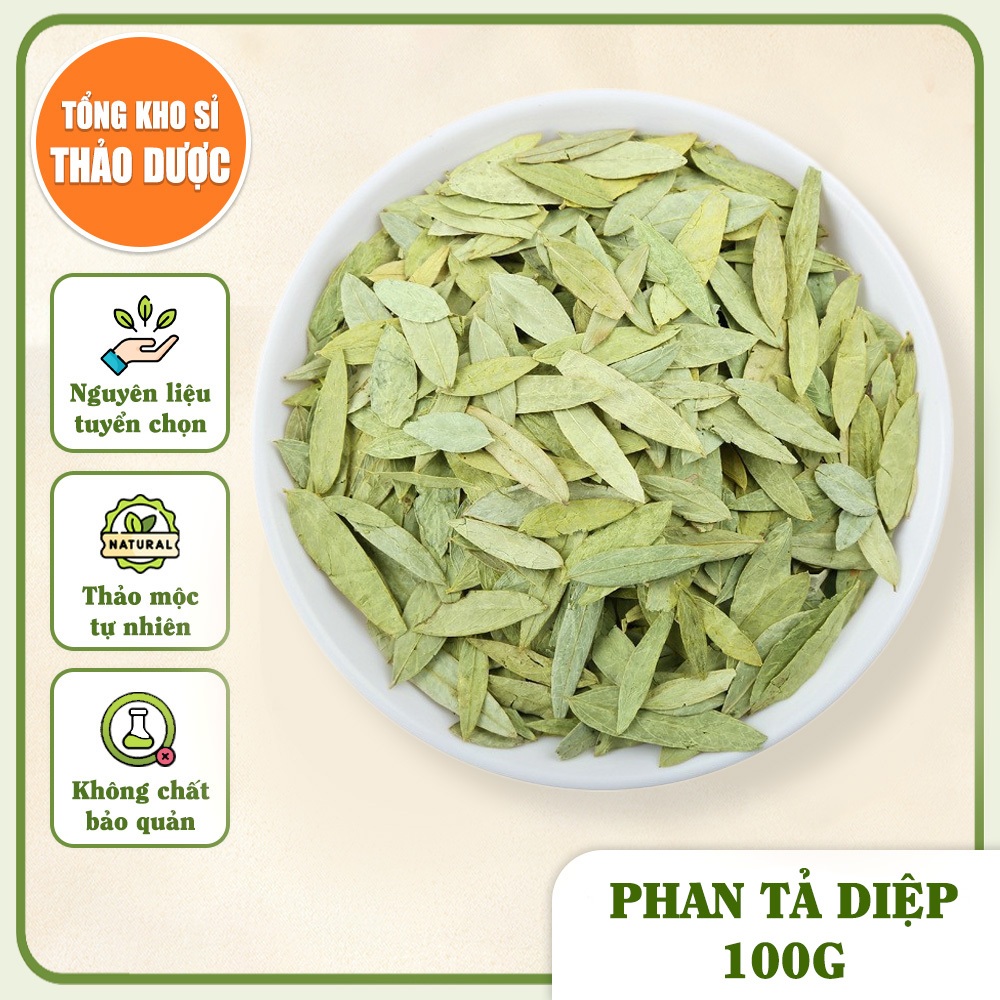 Phan tả diệp 100g, lá phan tả, không vụn, xanh đẹp, không lẫn tạp chất - Tổng Kho Sỉ Thảo Dược