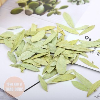 Phan tả diệp 100g, lá phan tả, không vụn, xanh đẹp, không lẫn tạp chất - Tổng Kho Sỉ Thảo Dược