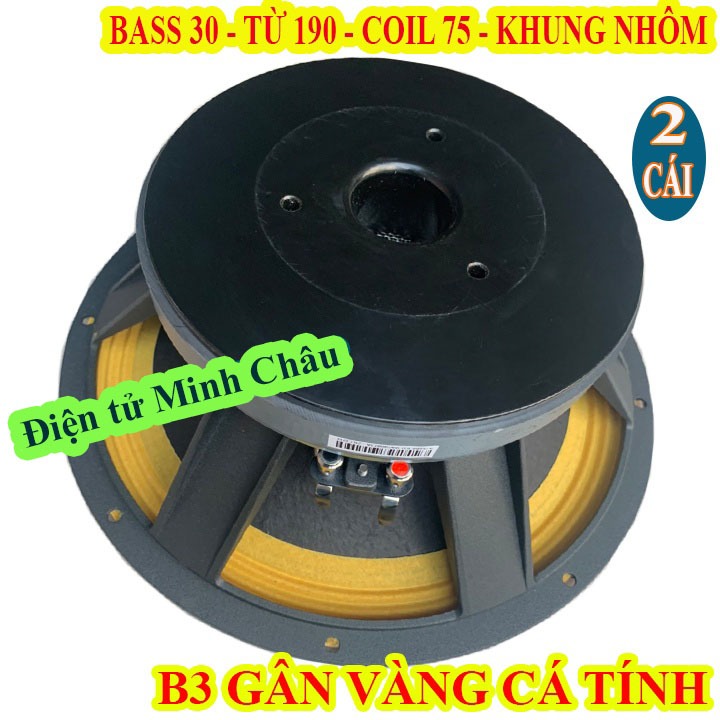 CẶP LOA BASS 30 B3  AUDIO COIL 75 TỪ 190 GÂN VÀNG - GIÁ 1 CẶP