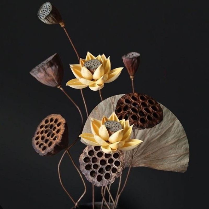 Đài sen khô tự nhiên, dercor trang trí nhà cửa. đài sen khô đẹp