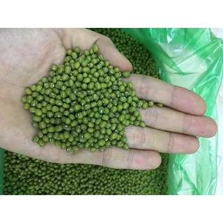 Đỗ xanh nguyên hạt làm giá đỗ (0.5kg)