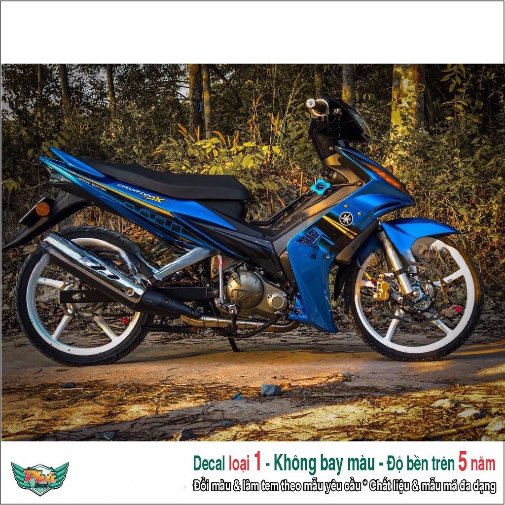 Tem rời Ex 2010 xanh đen (C)