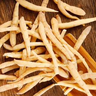 Sâm đất (Thái tử sâm) 100g