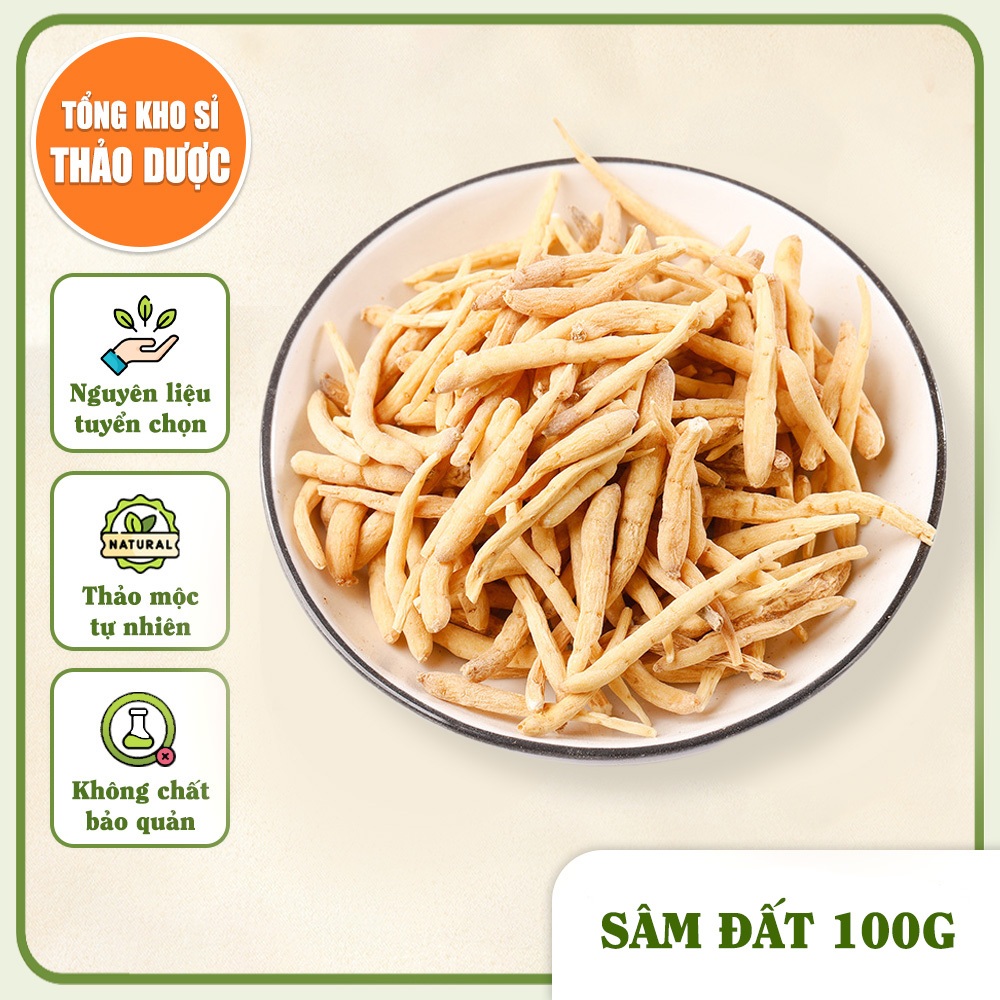 Sâm đất (Thái tử sâm) 100g