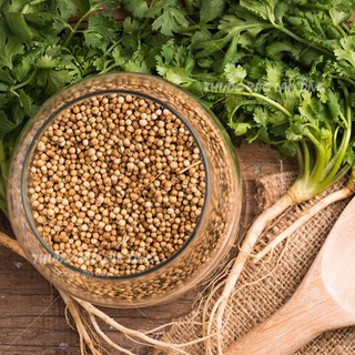 Hạt mùi khô 1kg, hạt ngò, thơm, sạch, gia vị nấu phở, nấu nước sâm, pha trà
