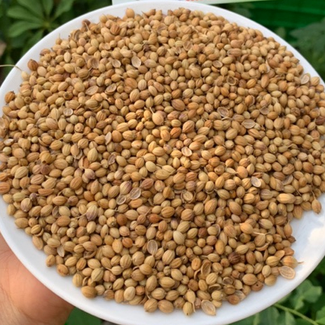 Hạt Mùi - Hạt Ngò 100gram