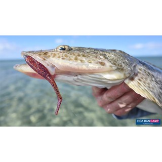Mồi Mềm Con Cá Shimano Fish SQBTF70 | 7cm - 6 Con/Vỉ