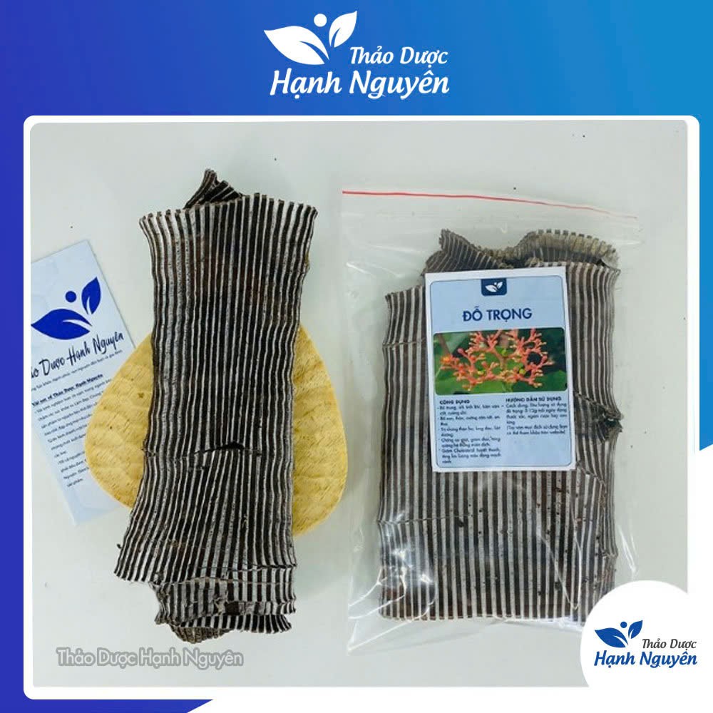 Đỗ trọng bắc khô 500g, miếng to, đẹp, hỗ trợ bổ can thận, mạnh gân cốt, giảm đau xương khớp