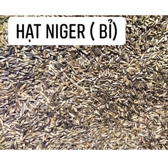 Hạt niger Deli Nature nhập Bỉ 1kg cho chim yến hót thạch yến