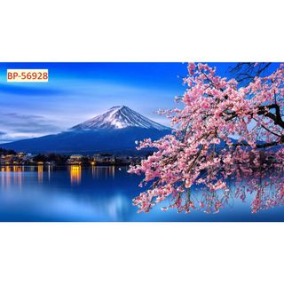Tranh lụa 3d Đường Phố Nhật Bản, Phong cảnh chùa, núi Phú Sĩ đẹp mắt....