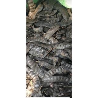 bồ kết khô đẹp 1kg