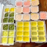 SET 2 khay trữ đông đồ ăn dặm cho bé RICHELL