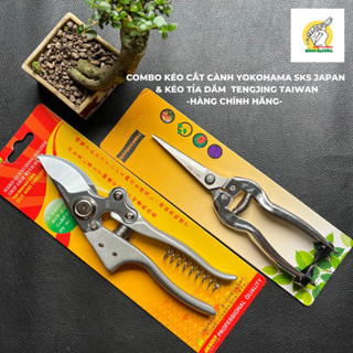 Combo Kéo cắt cành cây bonsai cảnh cộng lực YOKOHAMA SK5 JAPAN + Kéo cắt tỉa dăm TENGJING TAIWAN