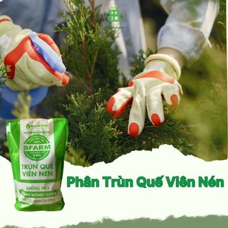 Phân Trùn Quế Viên Nén Sfarm, Phân Hữu Cơ Không Mùi, Cung cấp dinh dưỡng Tốt Cho Lan, Bonsai, Rau Màu Vuonbabylon - 1Kg