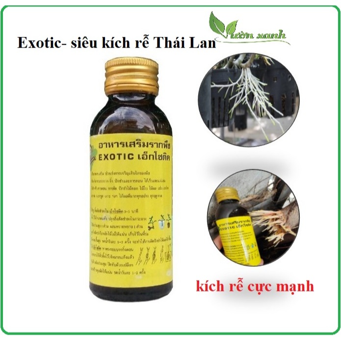 Exotic- Siêu Kích rễ Thái Lan 100ml, tái tạo rễ, kích rễ cám phát triển, giâm chiết, hồi phục cây