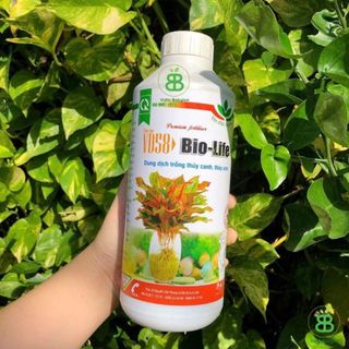Dung Dịch Thủy Canh Bio Life, Chuyên Cho Cây Thủy Sinh, Cây trồng thủy, Trồng Trong Nước Vuonbabylon - Chai 1L
