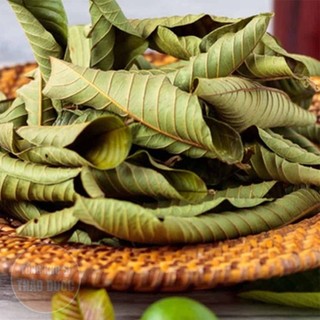 Lá ổi khô giảm cân 100g (Lá ổi non, đọt ổi non phơi khô)