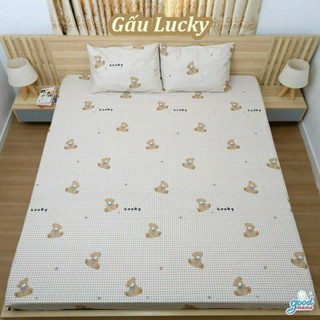 GA CHỐNG THẤM GOODMAMA KT 1m6-2m-10cm( ko vỏ gối)