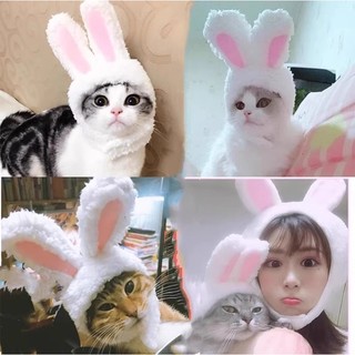 Nón tai thỏ 4 màu cho tết 2026 chó mèo - T3 PETS SHOP