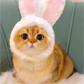 Nón tai thỏ 4 màu cho tết 2026 chó mèo - T3 PETS SHOP