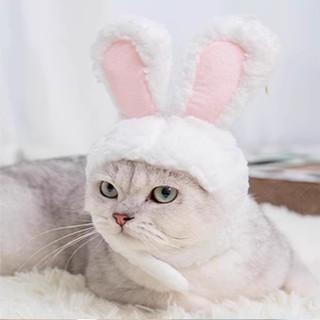 Nón tai thỏ 4 màu cho tết 2026 chó mèo - T3 PETS SHOP