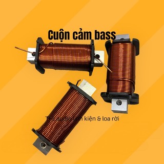 cuộn cảm Bass và SUB