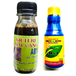 Combo phân bón KÍCH RỄ MAI VÀNG A01 100ml và Vitamin B1 100ml Growmore dùng kích rễ, giâm chiết cành các loại cây trồng