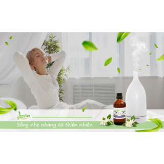 Máy khuếch tán tinhh dầu Leviter Dc 8116