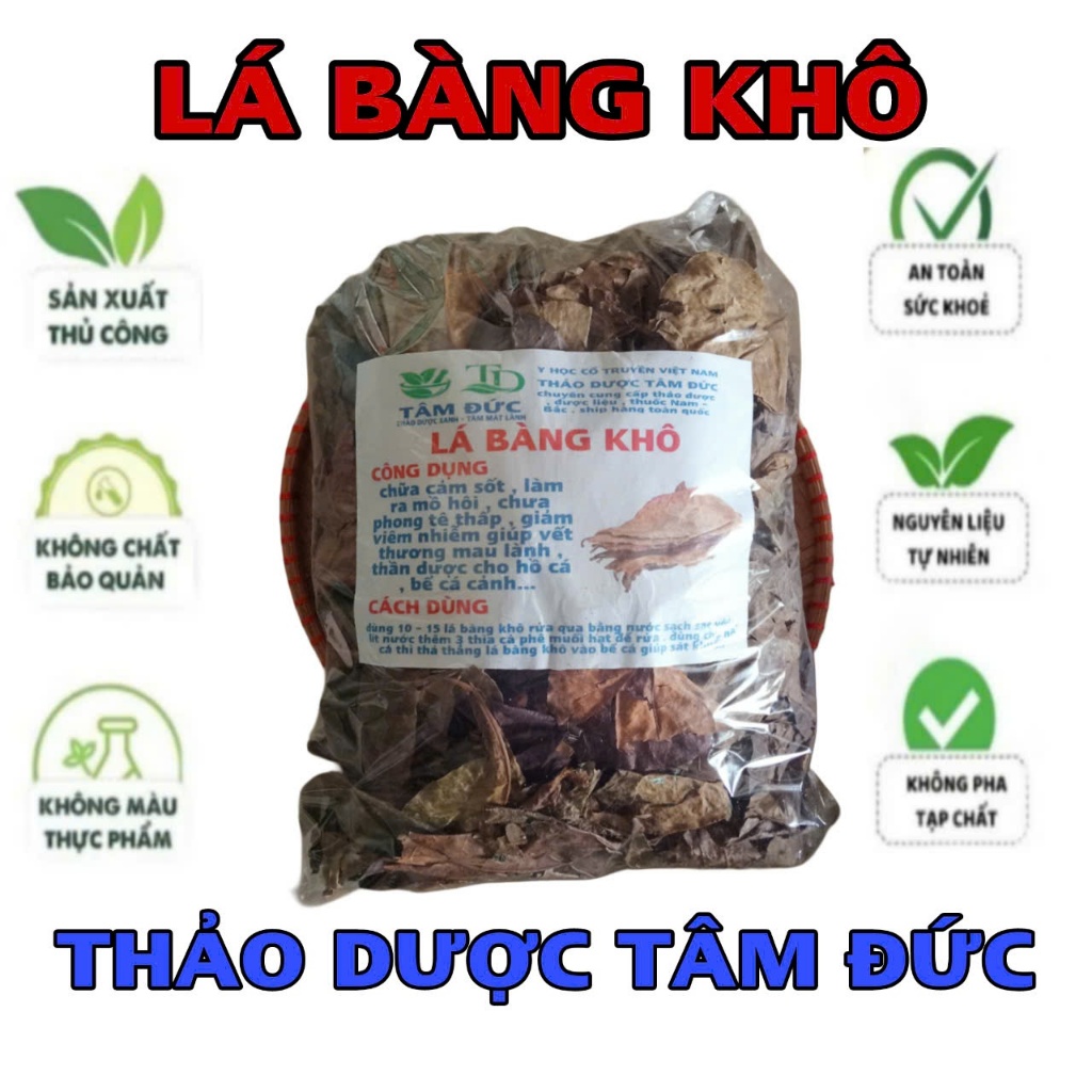 100g lá bàng khô rụng tự nhiên